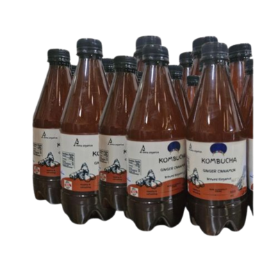 Probiotic KOMBUCHA GINGER CINNAMON 24 PACK